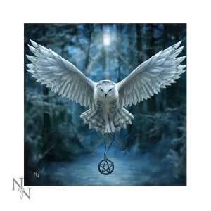 Image of Awaken Your Magic Light Up Cushion