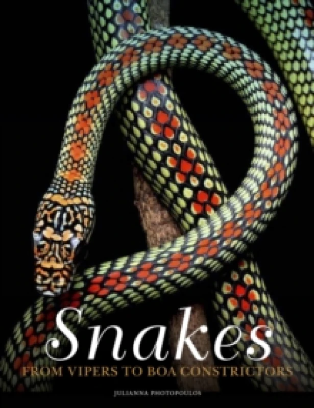 Image of Snakes : From Vipers to Boa Constrictors Hardback