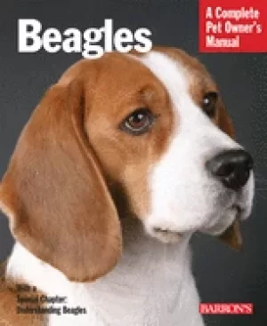 Image of beagles everything about purchase care nutrition handling and behavior