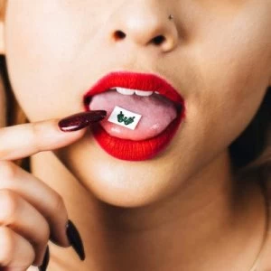 Image of Tasty Nasty by Wilson CD Album