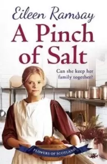 Image of A Pinch of Salt : Escape to the Highlands with a story of love, loss and family this Christmas
