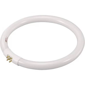 Image of Fluorescent tube G10q 22 W N/A Ring shape (Ø x H) 185mm x 185mm EEC: B (A++ - E)