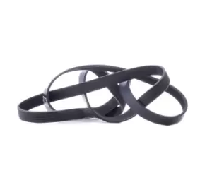 Image of RIDEX V-ribbed belt 305P0223 Serpentine belt,Auxiliary belt OPEL,RENAULT,NISSAN,Vivaro A Kastenwagen (X83),Vivaro A Combi (X83)