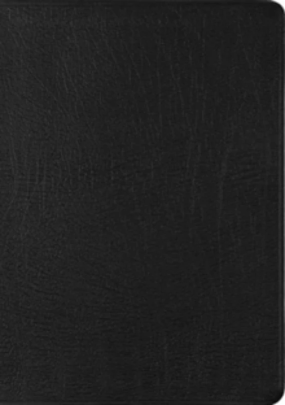 Image of ESV New Testament With Psalms and Proverbs. Leather / fine binding Books