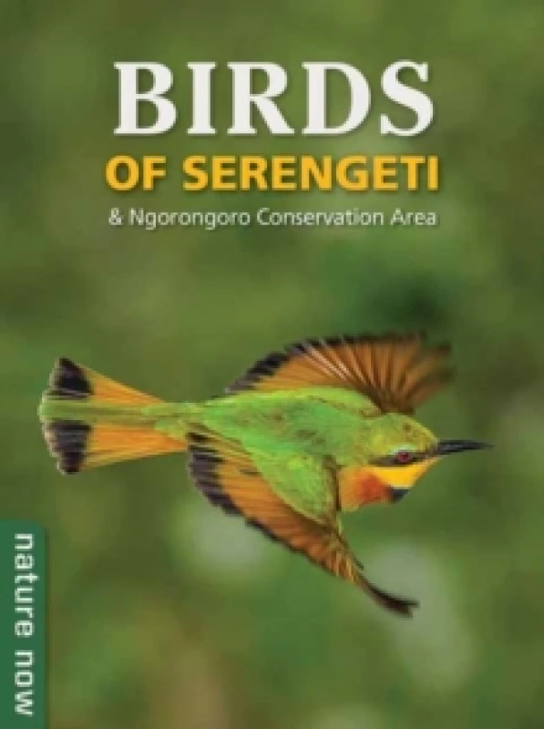 Image of Birds of Serengeti & Ngorongoro Conservation Area Paperback / softback