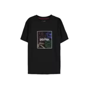 Image of Harry Potter Ladies T-Shirt Houses Size L