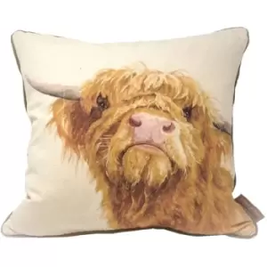 Image of Jane Bannon Donald Feather Filled Cushion (One Size) (Cream/Brown) - Cream/Brown