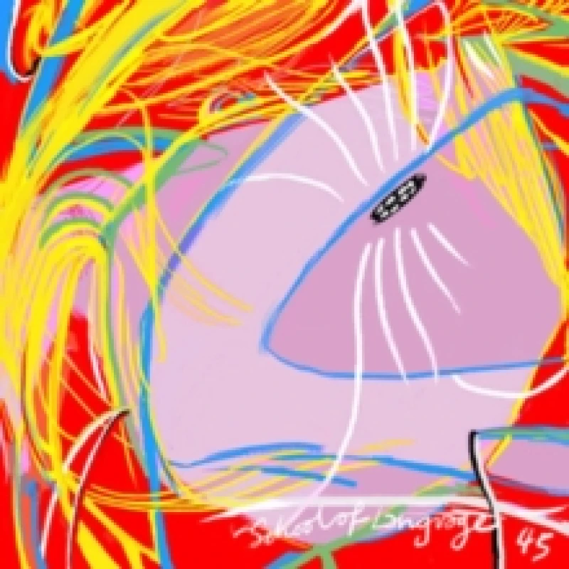 Image of 45 CD / Album