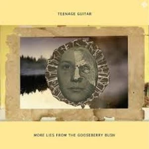 Image of Teenage Guitar - More Lies From The Gooseberry Bush Vinyl