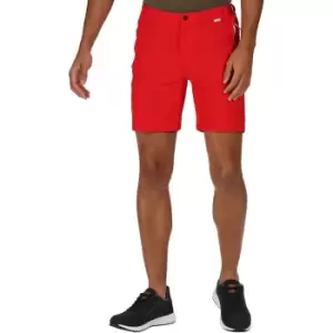 Image of Regatta Mens Mountain Polyamide Duarable Walking Shorts 33 - Waist 33' (84cm)