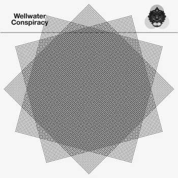 Image of The Wellwater Conspiracy - Lucy Leave / Sleeveless Vinyl