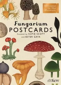 Image of Fungarium Postcards by Ester Gaya