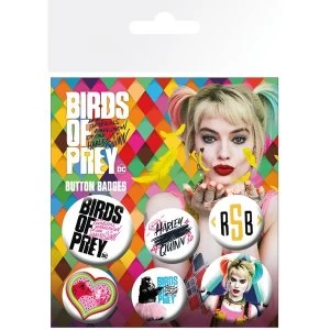 Image of Birds of Prey Mix Badges (Pack Of 6)