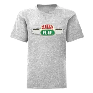 Image of Friends Mens Central Perk T-Shirt (L) (Heather Grey)