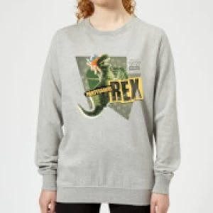 Image of Toy Story Partysaurus Rex Womens Sweatshirt - Grey - M