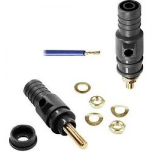 Image of Pole terminal Black 32 A Staeubli SPK4