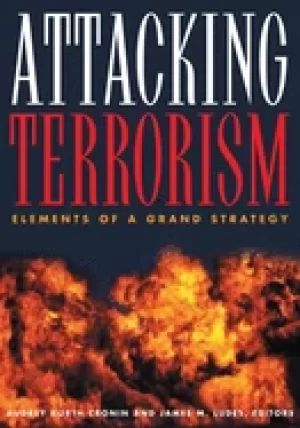 Image of attacking terrorisms elements of a grand strategy