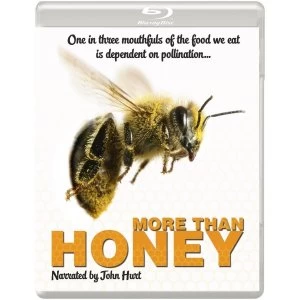 Image of More Than Honey (Bluray)