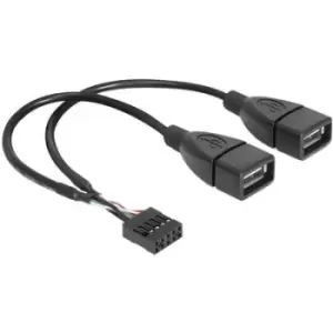 Image of Delock USB cable USB 2.0 Pinheader 8-pin , USB-A socket 0.20 m Black UL-approved 83292