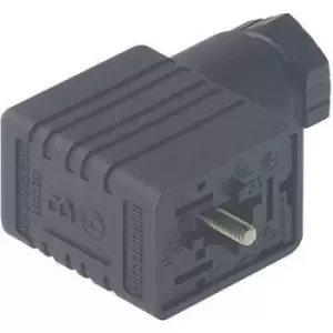 Image of Hirschmann 934 456-100-1 GM 216 NJ Cable Socket, Freely Configurable Black Number of pins:2 + PE
