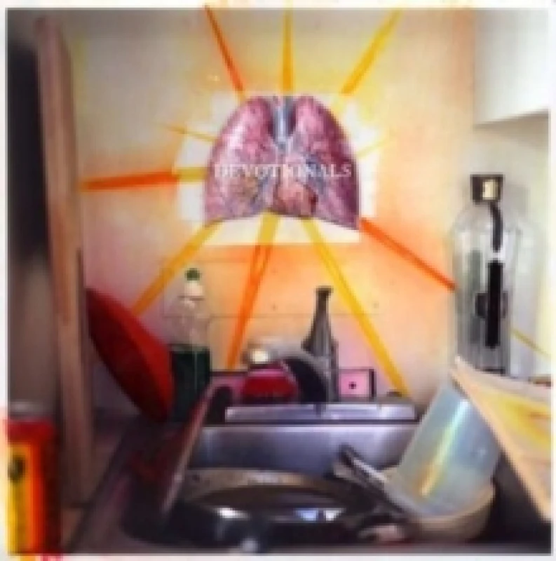 Image of Devotionals Vinyl