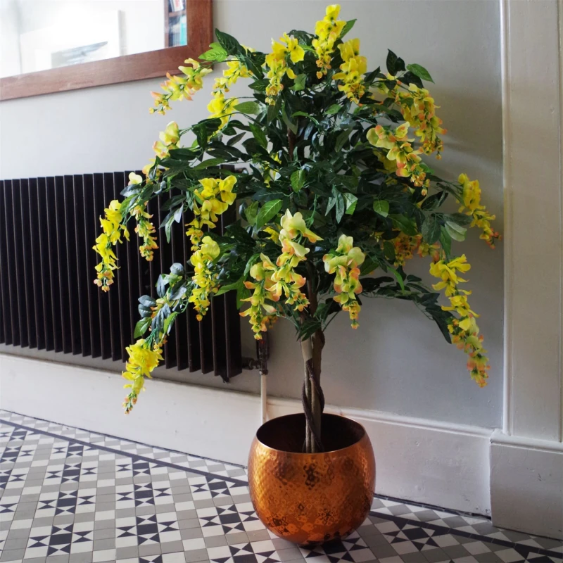 Image of Leaf 120cm Yellow Flowering Wisteria Tree Yellow