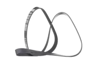 Image of DAYCO V-ribbed belt VW,BMW,OPEL 6PK1555 03L903137L,11281427250,11281437929 11281469266,11281726689,11287529738,11287544786,11287631818,11287636378