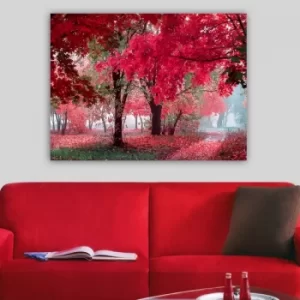 Image of 312186866_70100 Multicolor Decorative Canvas Painting