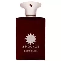 Image of Amouage Boundless Eau de Parfum Unisex 100ml