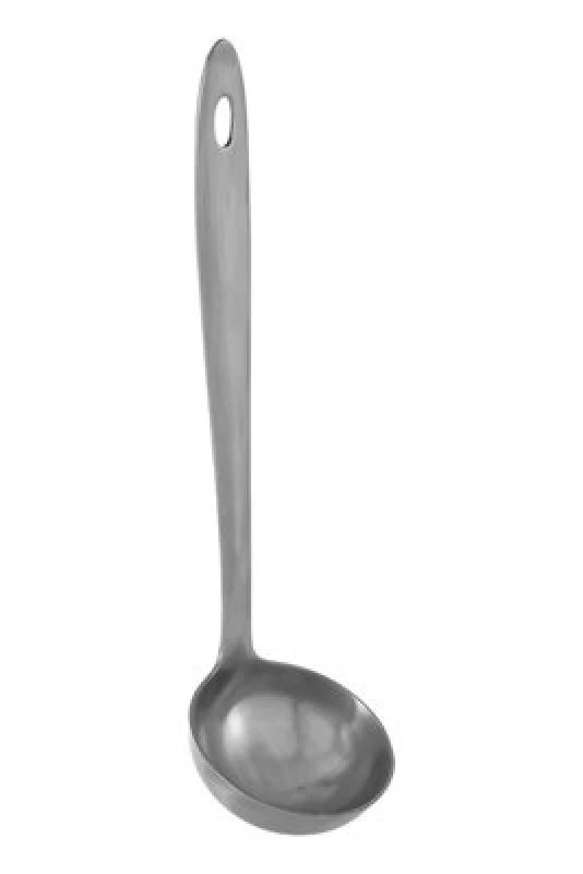 Image of Premier Housewares Freya Metalic Finish Ladle Silver