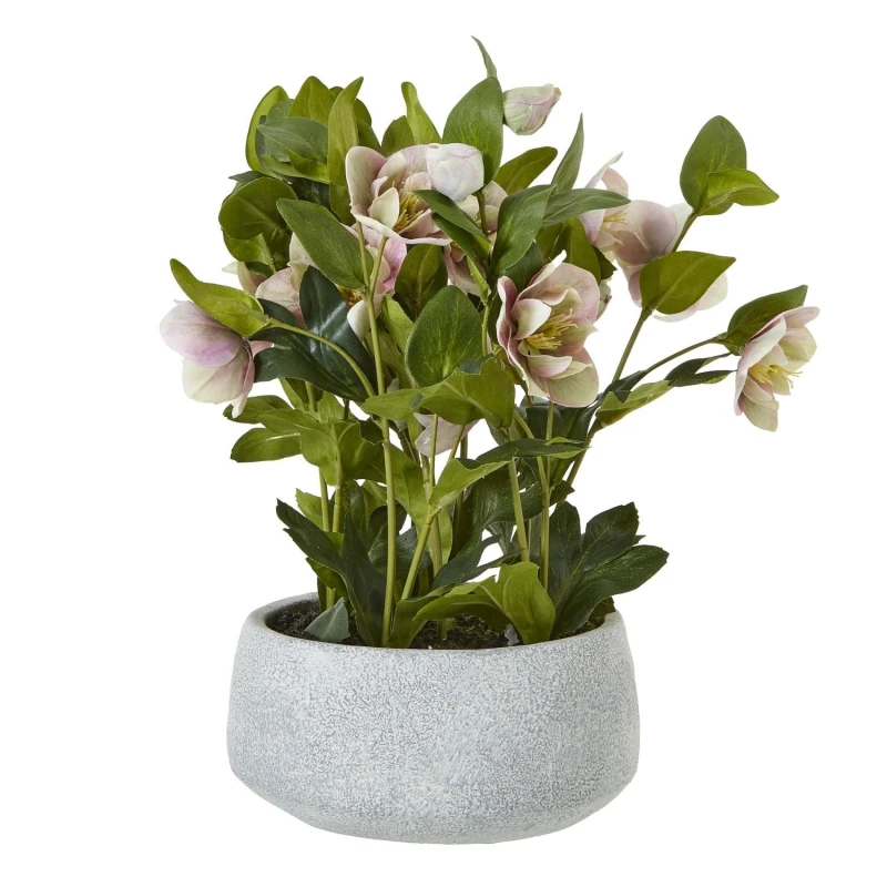 Image of Hill Interiors Hellebore Artificial Potted Plant in Pink Pink Unisex