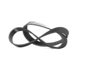 Image of Bosch V-ribbed belt FIAT,ALFA ROMEO,LANCIA 1 987 946 101 60617858,500388408,60607387 60617858,60812329,60617858,60812329