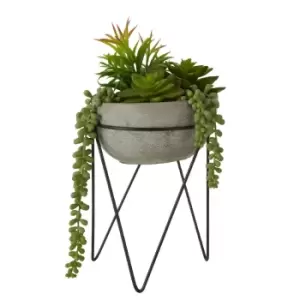 Image of Interiors By Premier Mixed Succulent Grey Cement Pot with a Metal Stand