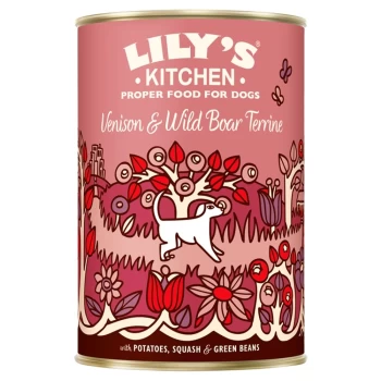 Image of Lily's Kitchen Venison and Wild Boar Terrine Dog Food 400g