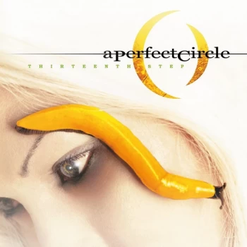 Image of Thirteenth Step by A Perfect Circle Vinyl Album