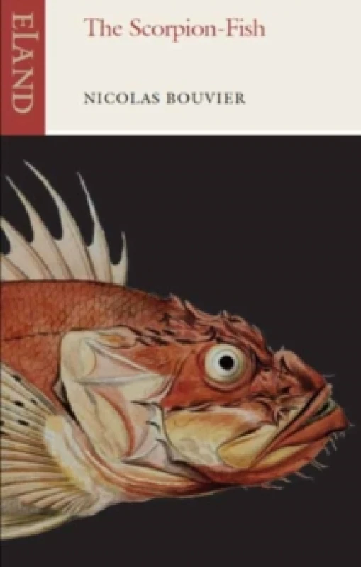 Image of The Scorpion-Fish Paperback / softback