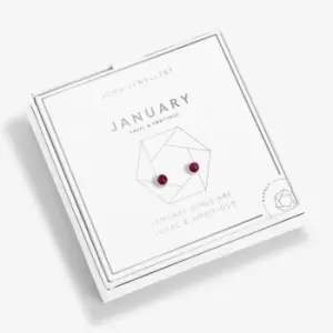Image of January Birthstone Boxed Earrings 5528