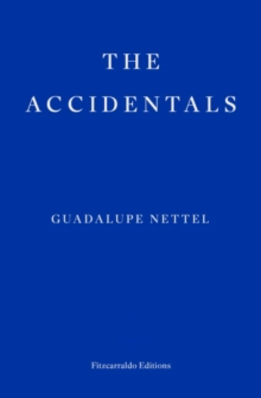 Image of The Accidentals Paperback / softback