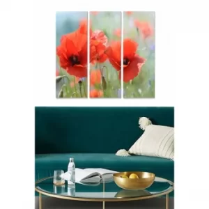 Image of MDF2391025 Multicolor Decorative MDF Painting (3 Pieces)