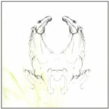 Image of My Brightest Diamond - Tear It Down CD