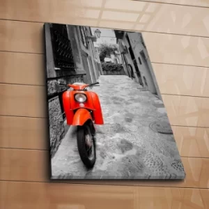 Image of 5070C-223 Multicolor Decorative Canvas Painting