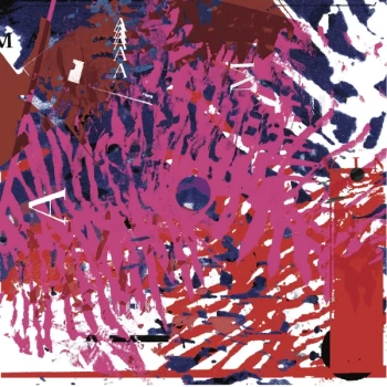 Image of Vinicio Adames - Amazonia Vinyl