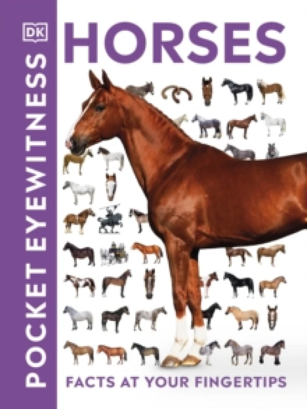 Image of DK Pocket Eyewitness Horses Book Multi unisex