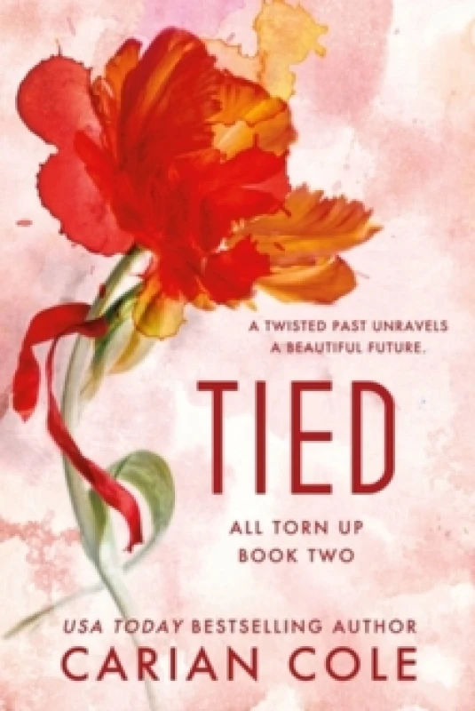 Image of Tied Paperback / softback