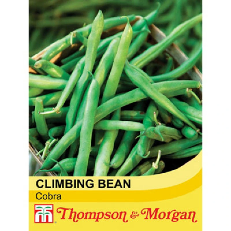 Image of Thompson & Morgan Bean (Climbing French) Cobra 1 Seed Packet (70 Seeds)