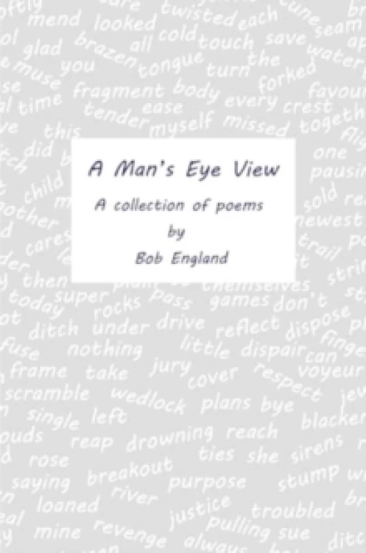 Image of A Man's Eye View Paperback / softback