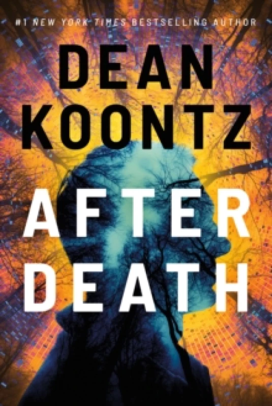 Image of After Death Paperback / softback