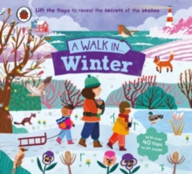 Image of A Walk in Winter : Lift the flaps to reveal the secrets of the season Board book
