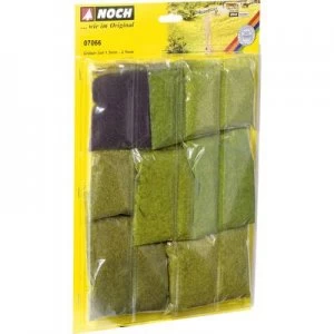 Image of NOCH 7066 Assorted grass types Green