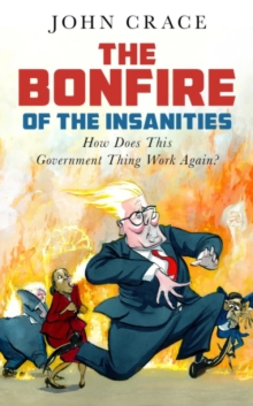 Image of The Bonfire of the Insanities : How Does This Government Thing Work Again? Hardback